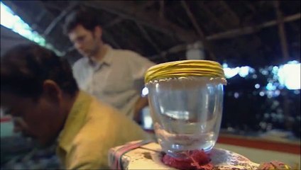 This is What Snake Venom Does to Blood!