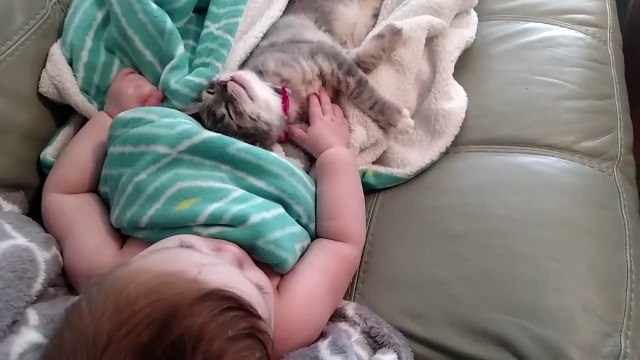 Самое милое видео