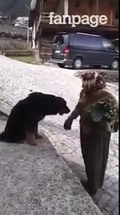 Anziana accarezza un cane randagio, la sua affettuosa reazione