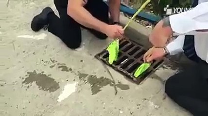 Calano un retino nel tombino ed ecco cosa viene fuori immagini meravigliose