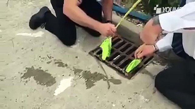 Calano un retino nel tombino ed ecco cosa viene fuori immagini meravigliose