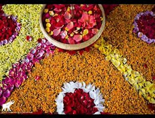 Babul meriyan gudiyan.., Shadi Geet