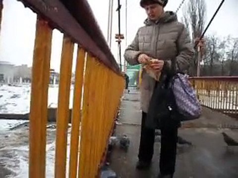 Добрые люди в городе Орле Город Орёл Подвесной мост Женщина кормит птиц Утки Голуби Март 2015 год