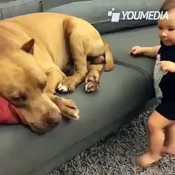 Dà due bacetti al suo amico, guardate come viene ricambiato