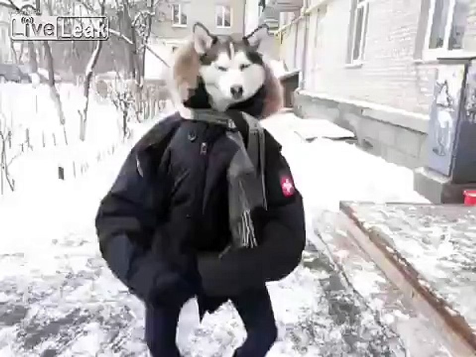 Dog-Ðan