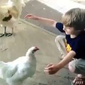 Ecco il dolce abbraccio tra un bambino e una gallina