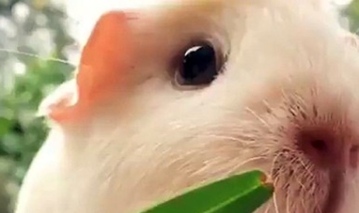 Look at those Cheeks!