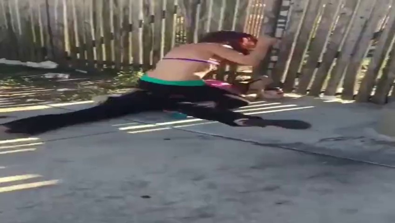 stupid street quarrel