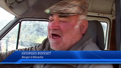 D!CI TV : A Névache, les éleveurs grognent aussi contre le loup