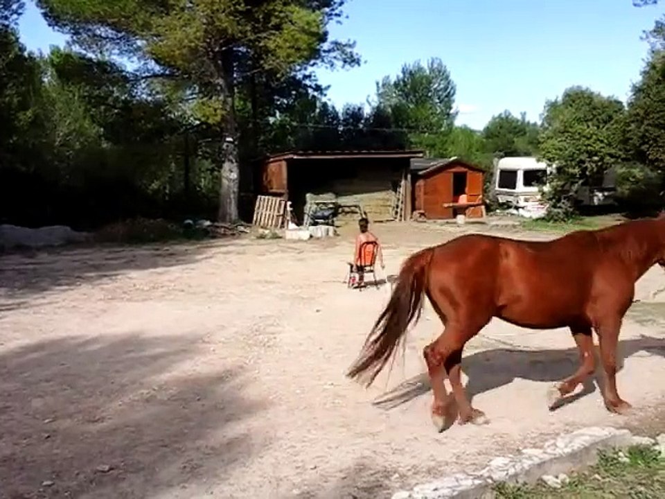 Challenge 2 - Steph et Lali : Jeu du cercle, 3 tours au trot en utilisant le stick une fois maximum