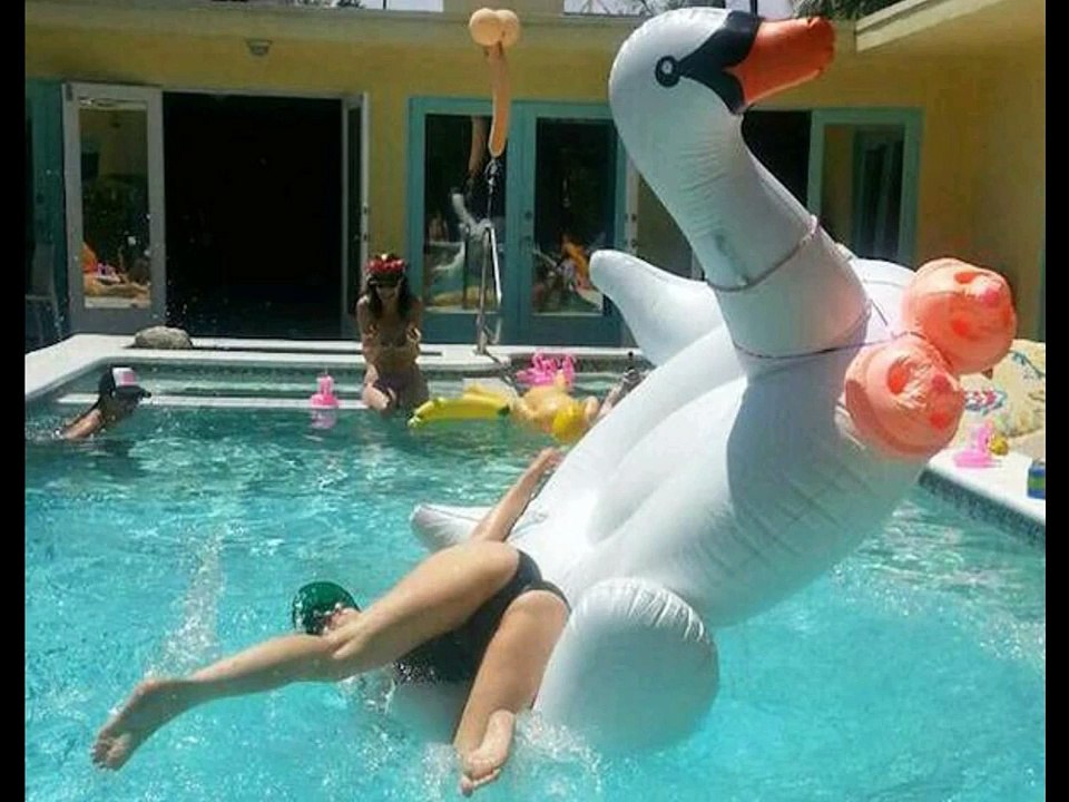 Sö… You Got Wasted! Drunk Fails Are The Best!