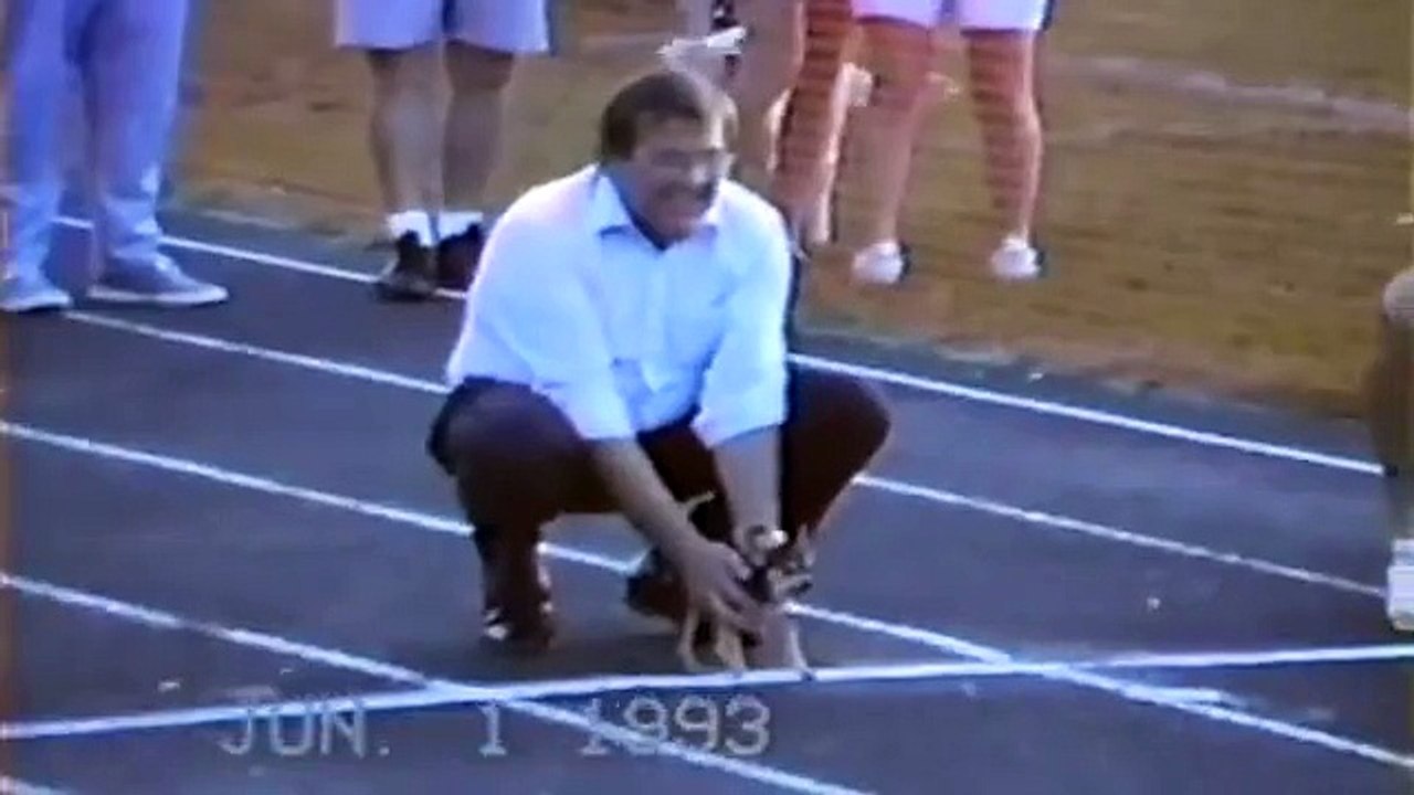 Guardate Come Questo Bassotto Vince La Gara Di Corsa Scorretto... Ma Esilarante!