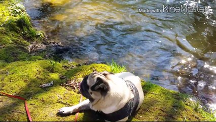 cordage naturel / natural cordage