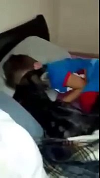 Il Bambino Torna Dal Campo Estivo... La Reazione Del Gatto Sorprende Anche La Mamma!