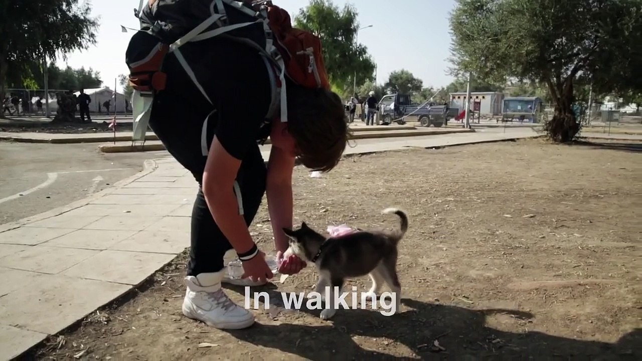 Une jeune réfugié syrien parcourt 500 km avec son chien afin de fuir la guerre