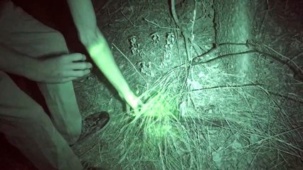 Haunted railroad tracks! GHOST lantern caught on tape