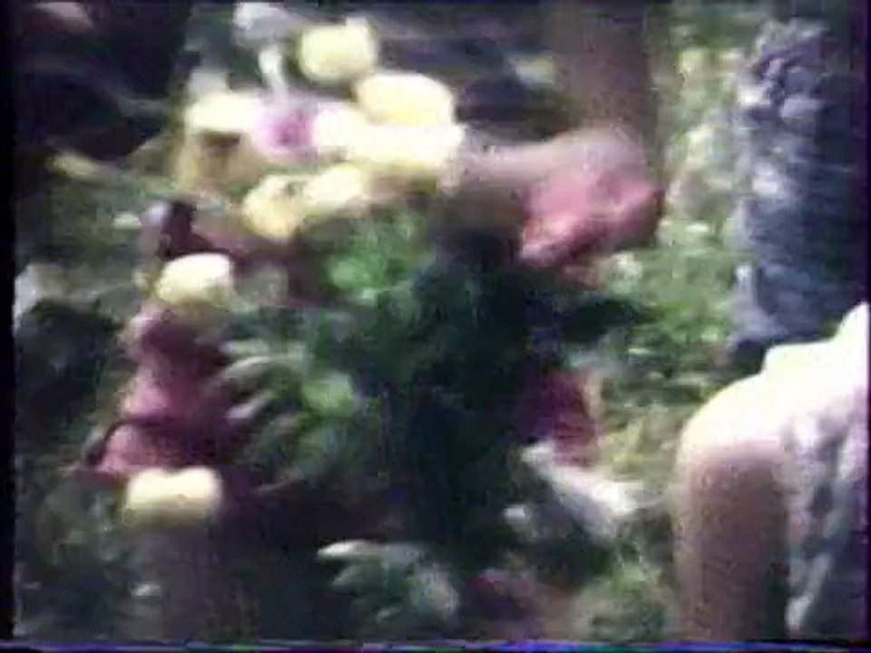 vacances 1969 en Suisse