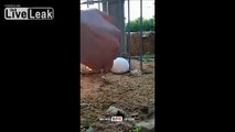 Worst exploding slow motion ever!