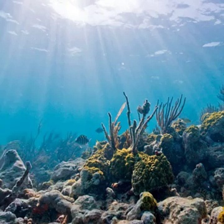 Darshan Raval - Awaragi New song 2015