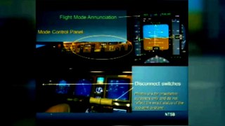 LiveLeak.com - NTSB Hearing of Asiana Flight 214