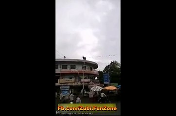 a bull jumped from 3rd floor