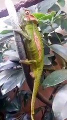 Tek Kelime İle İnanılmaz.!!