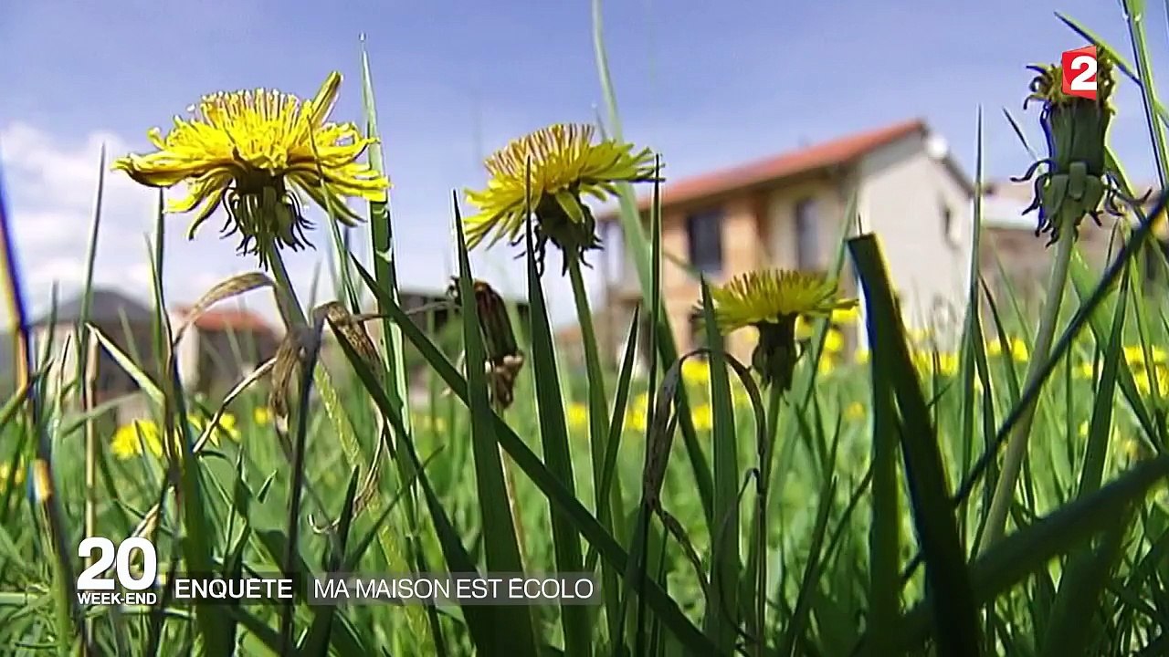Maisons écologiques : l'habitat de demain ?
