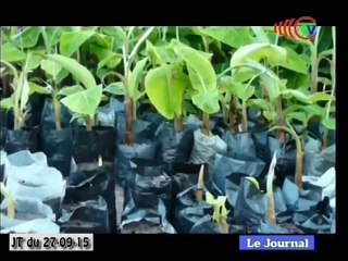 JTV-CONGO du 27/09/15 - Plus d'infos sur www.congo-site.com
