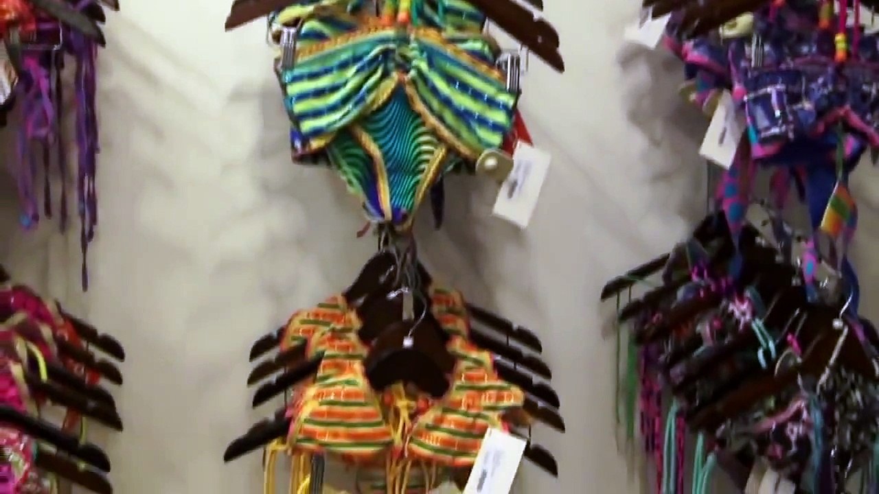 Jenny Scordamaglia - Bikini Discovery Season 2 South Florida