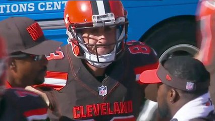 Browns Brian Hartline 41-yard reception