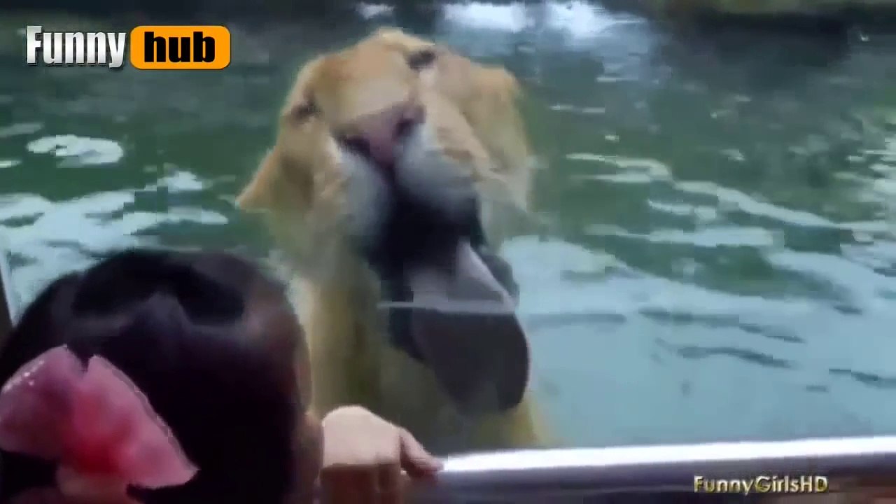 Funny Videos - Top Funny Girls Fails Compilation 2015 - Best Funny Videos 2015 [Full Episode]