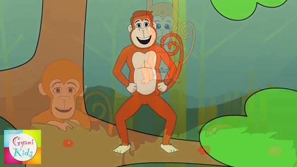 The Finger Family (Monkeys Family) Nursery Rhyme | Kids Animation Songs For Children