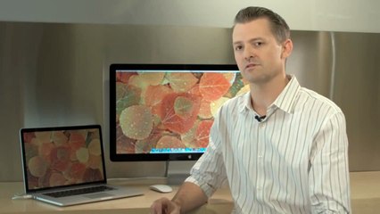 G-Technology G-DOCK ev Thunderbolt Depolama Ünitesi Kurulum Videosu