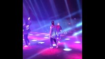 Chris Brown Twerks At Concert In Holland