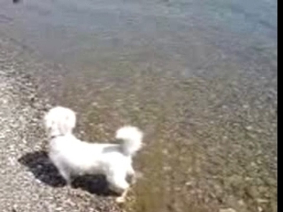 Texas dans l'eau