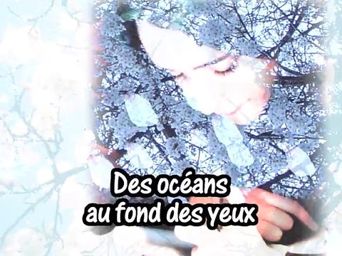 KARAOKE DIDIER BARBELIVIEN et FELIX GRAY - A toutes les filles