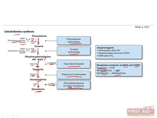 Biochemistry Metabolism Part 4