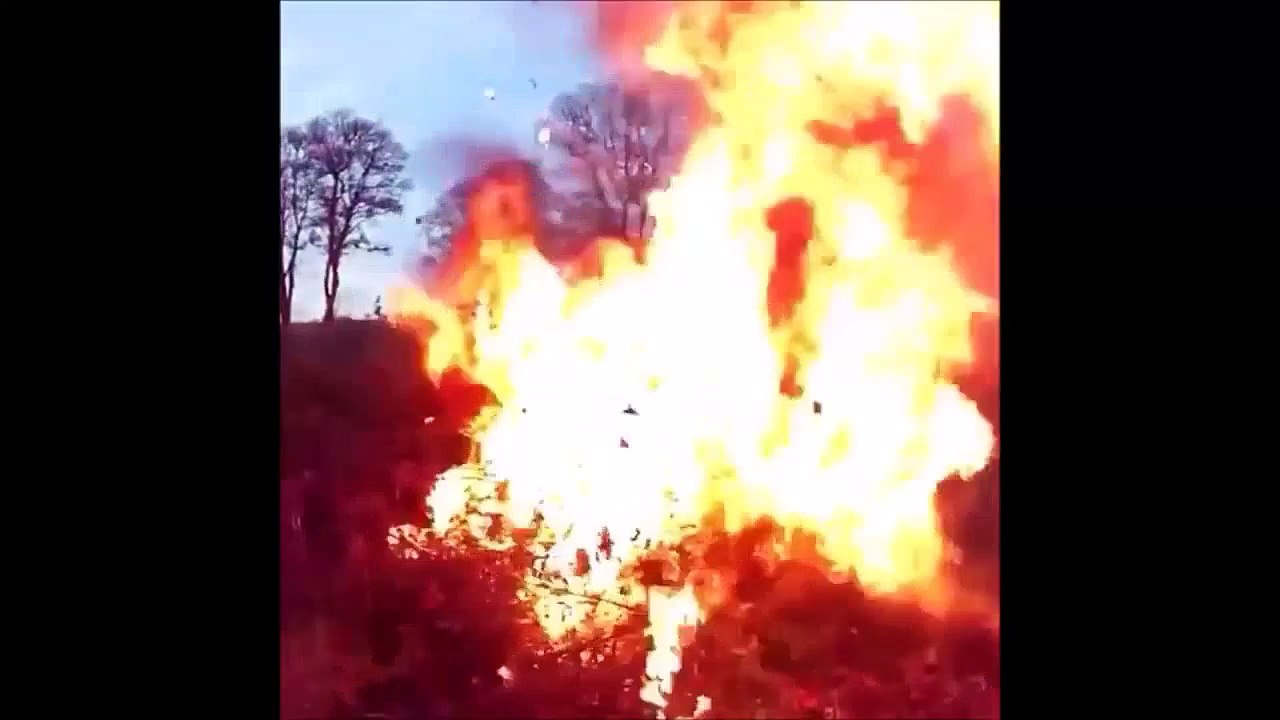 Los Mejores Gagal dari Anggur! | Terbaik Tanaman Merambat Gagal Compilation 2015