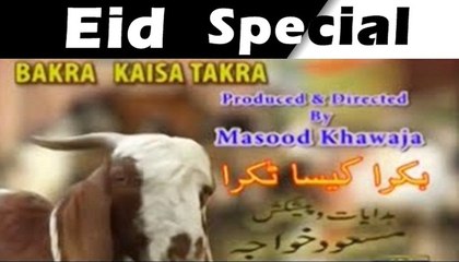 Bakra Kaisa Takra Eid Special Play