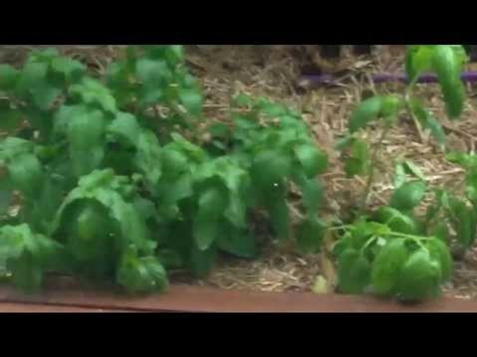 Hail Storm Brisbane 27 September 2015