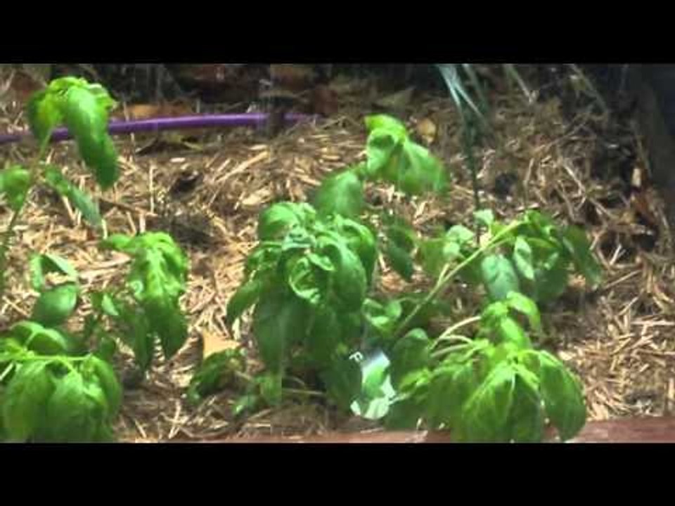 Big Storm Brisbane 27 September 2015