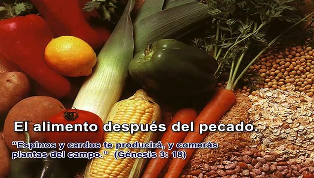 Como llevar una vida Cristiana Saludable en los Alimentos