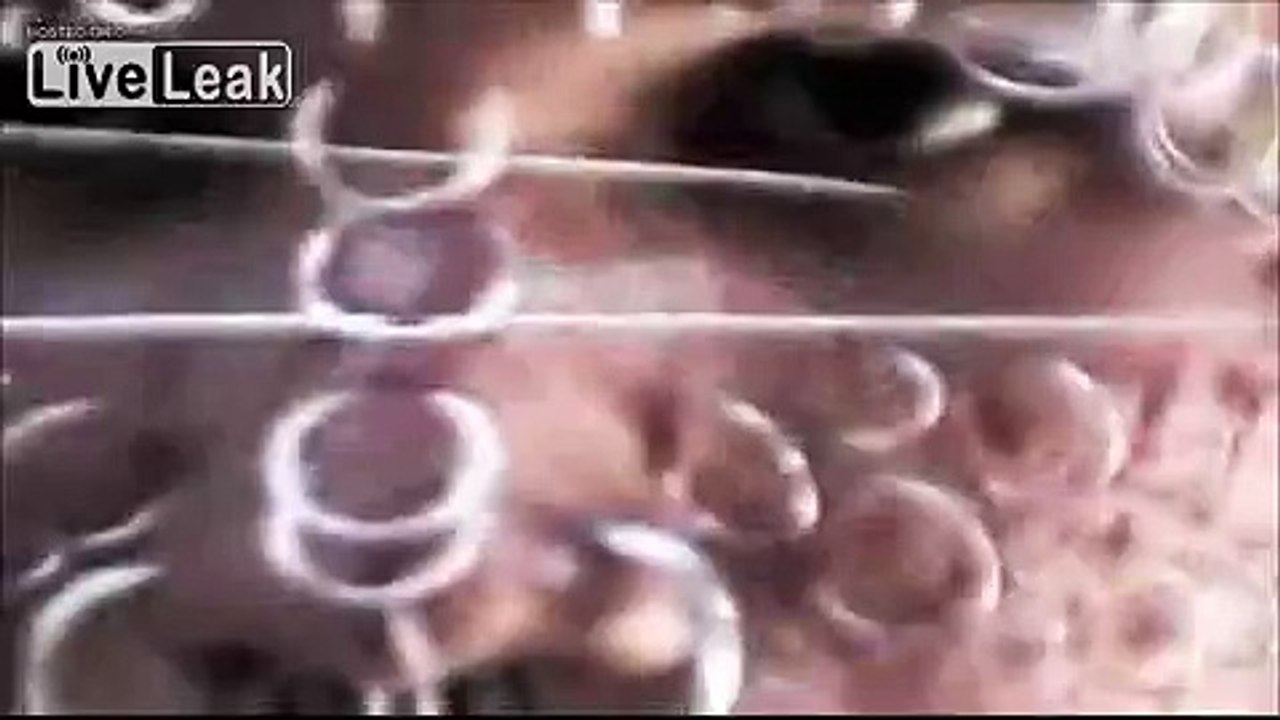 face piercing