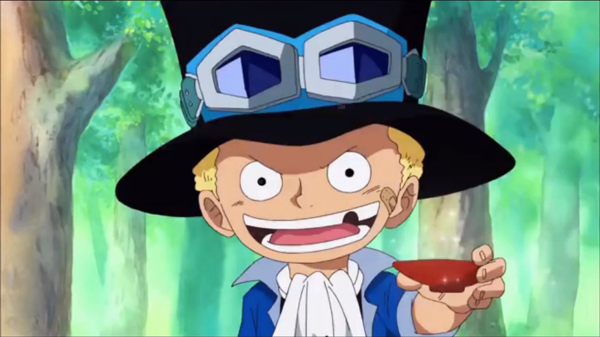 One Piece Sabo Talks To Fujitora And Learns About Aces Death Dailymotion Video