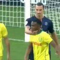 Zlatan Ibrahimovic vs Nantes (Don't mess with Zlatan)