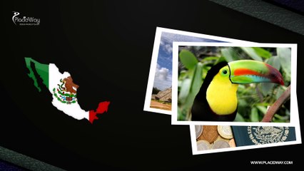 Why Do Spanish Patients Travel to Mexico for Surrogacy?