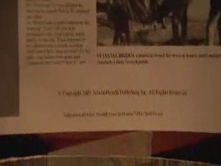 extrait supernatural ep1 S01