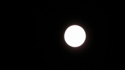 August 2015 Full Moon ~ Supermoon ~  1st of 3 Supermoons
