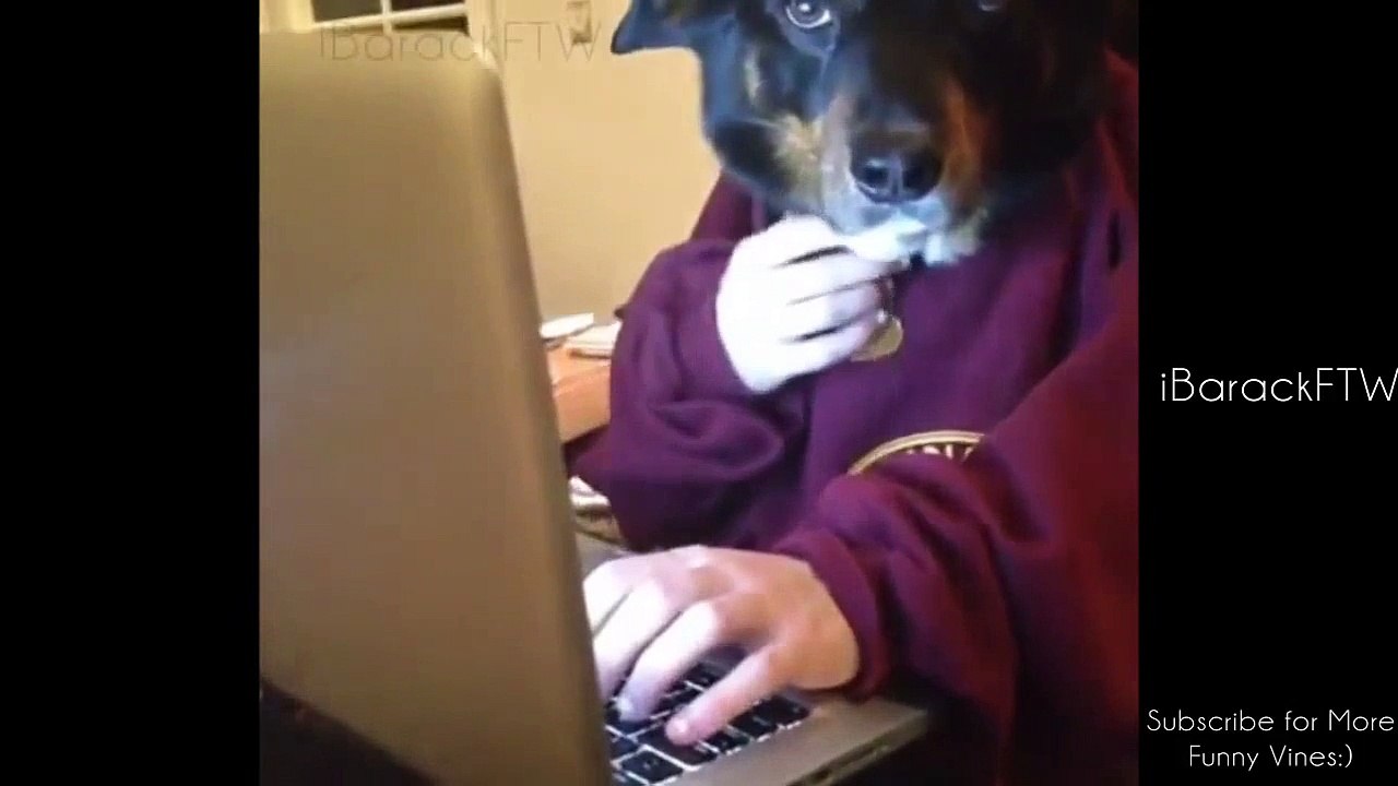 Des Vidéos drôles De Gens Tomber - MultiFunny42 HD