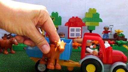 Çocuk şarkısı - Dedemin çiftliği var (Old MacDonald Had a Farm türkçe)